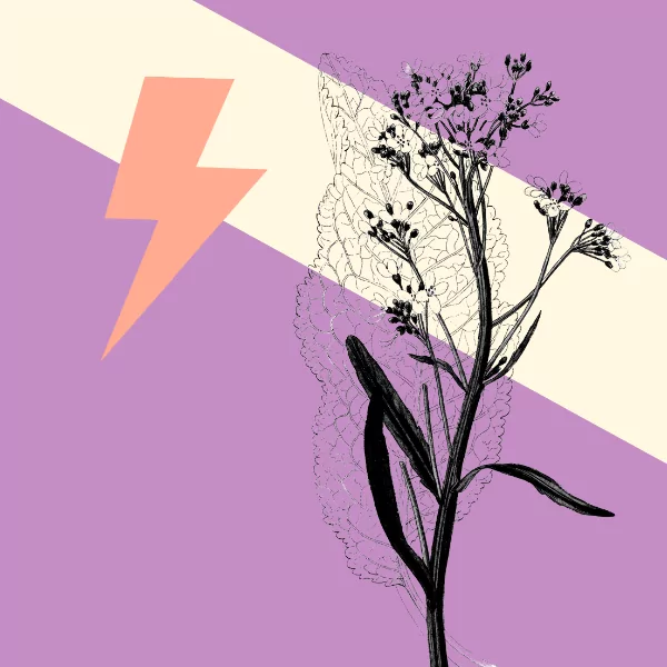 Streamlining what you ask for from candidates