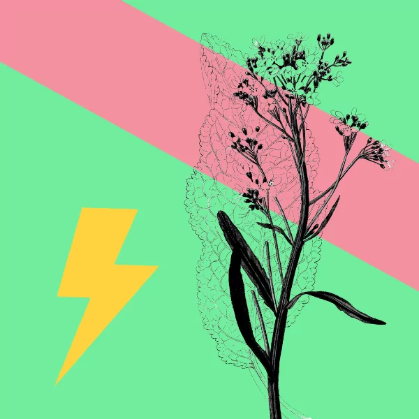 Finding a Balance: Social Media for Creatives