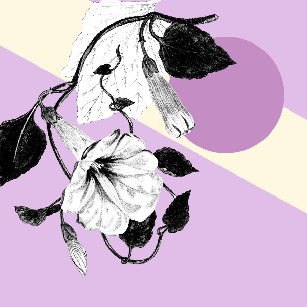 How to Structure Award Programme Categories