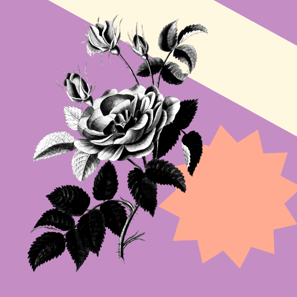 Awards Automation Without Losing Your Humanity