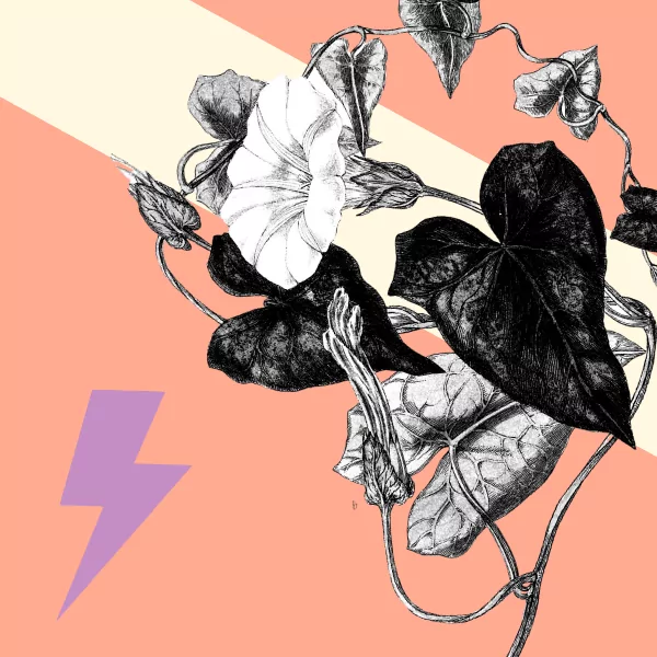 Imagery to get your competition attention