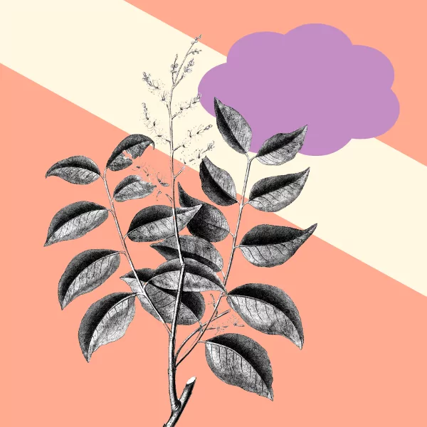 7 Awards Platforms for the Creative Industries