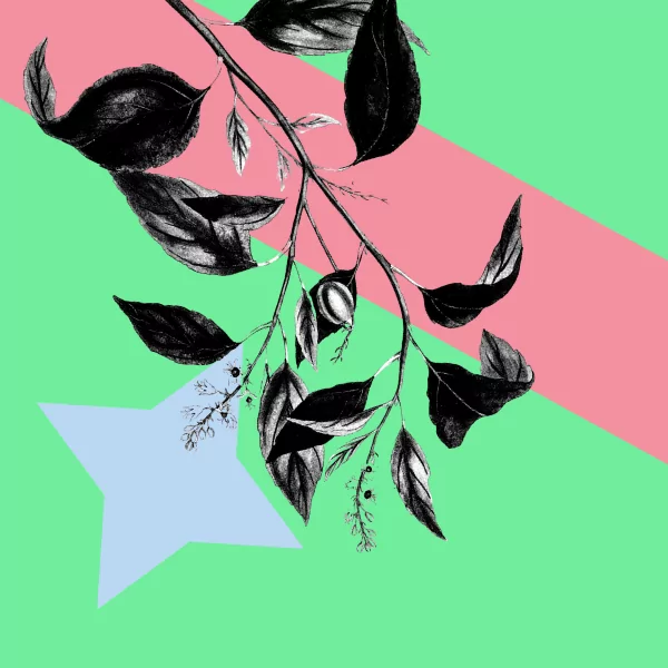 Find The Best Creative Opportunities