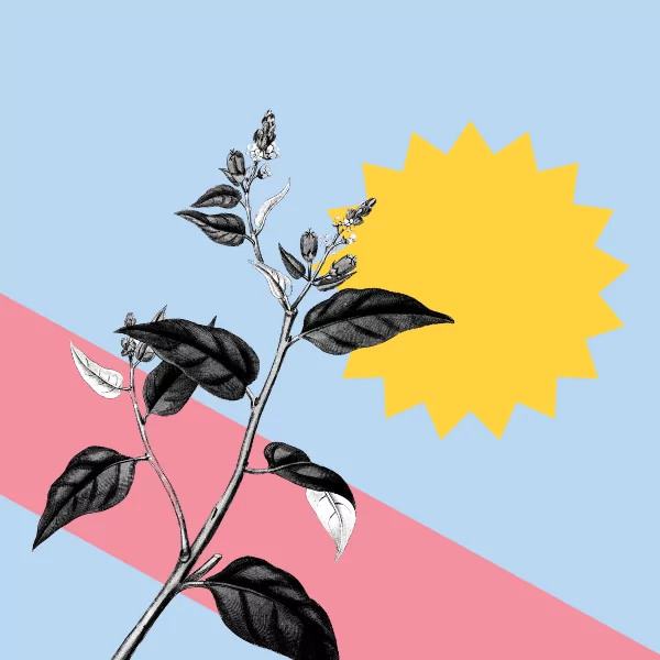 Free Resources for Creatives