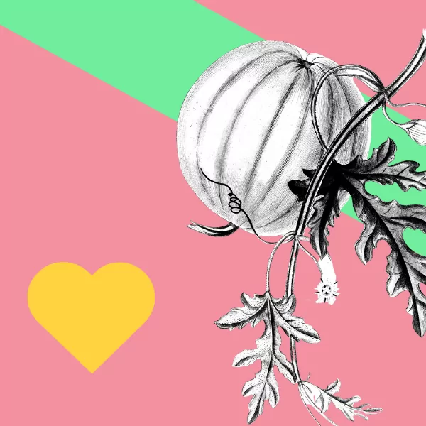 How To Thrive from Rejection In The Creative Industry