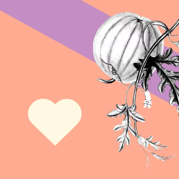 7 tips to boost your open call