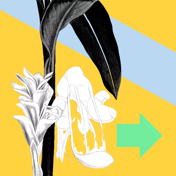 How To Check If An Opportunity Is Legitimate