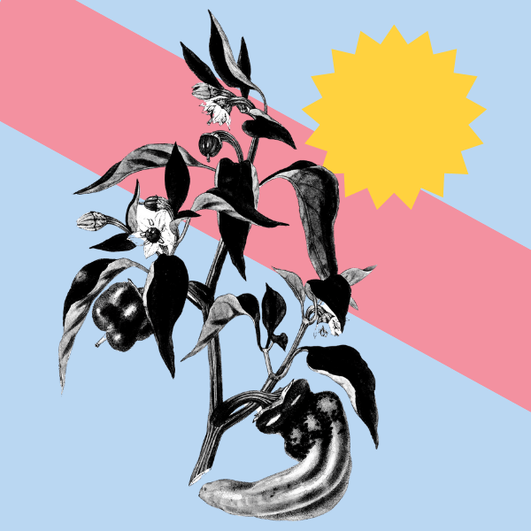 TikTok’s Impact on Creativity: Why the Platform Changed Everything For Better