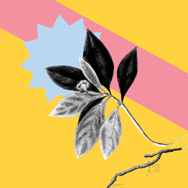 Essential Tools for Modern Creatives: A Complete Guide to Creative Software