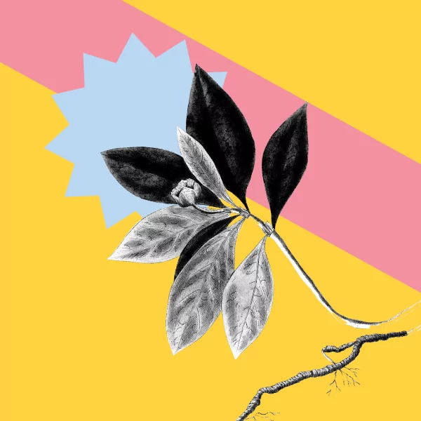 Essential Tools for Modern Creatives: A Complete Guide to Creative Software