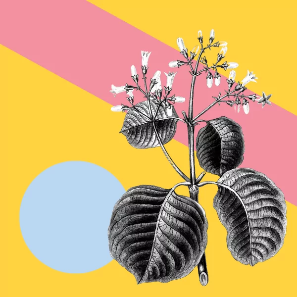 Creative Resources: Studio Spaces