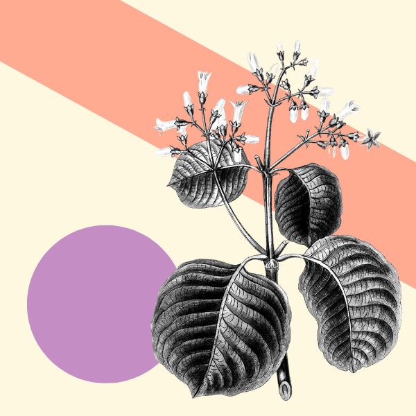 Strategic Awards Improvement through Data