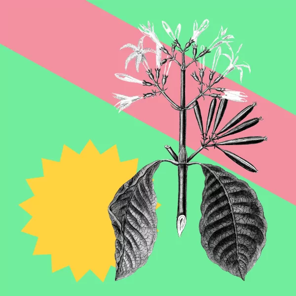 Celebrating Pride Month: 10 LGBTQIA+ Resources To Inspire Your Creativity