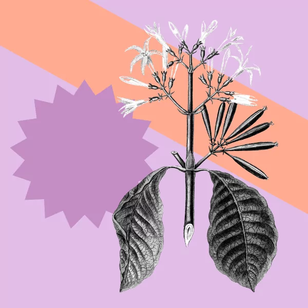 The Art of Engaging & Placemaking