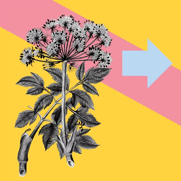 Creative Questions: Stand Out Submissions