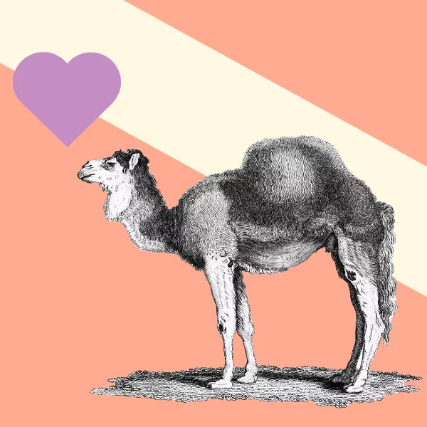 Tools to Manage Submissions – From Forms to Awards Management Platforms