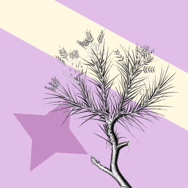 Design entry forms that keep judges coming back