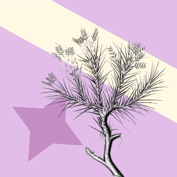 Design entry forms that keep judges coming back