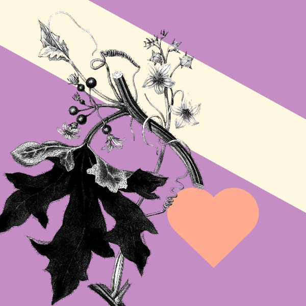 Building inclusivity into your call out