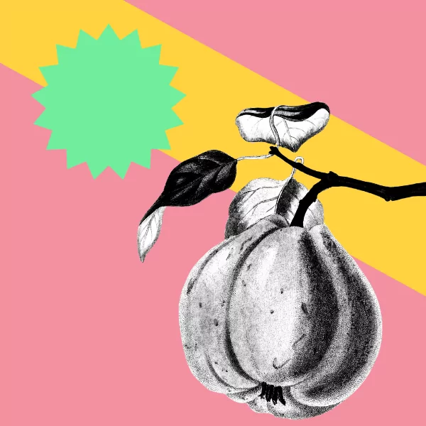 Online talks to boost your creativity