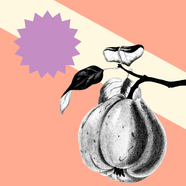 Choosing Photo Judging Software that Works