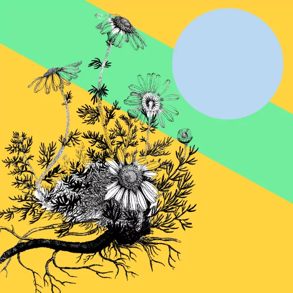 Creative Resources for Women’s Empowerment