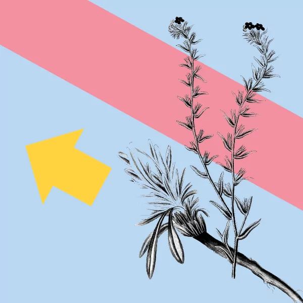 Creative Resources: Self-Promotion