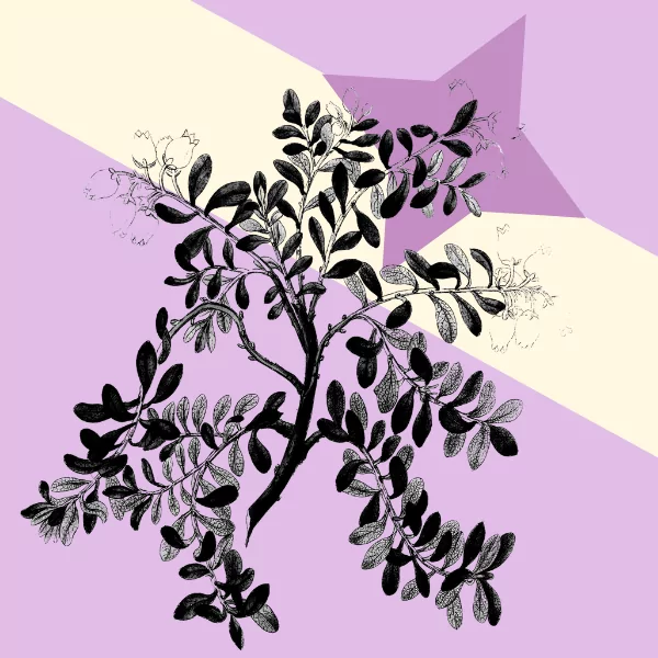 How to Run a Good Program with Reduced Resources