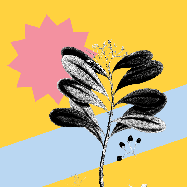 How to Use Judging Criteria to Strengthen Your Art Submission