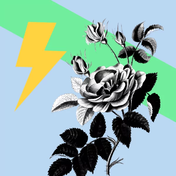 How To Make Your Portfolio Stand Out