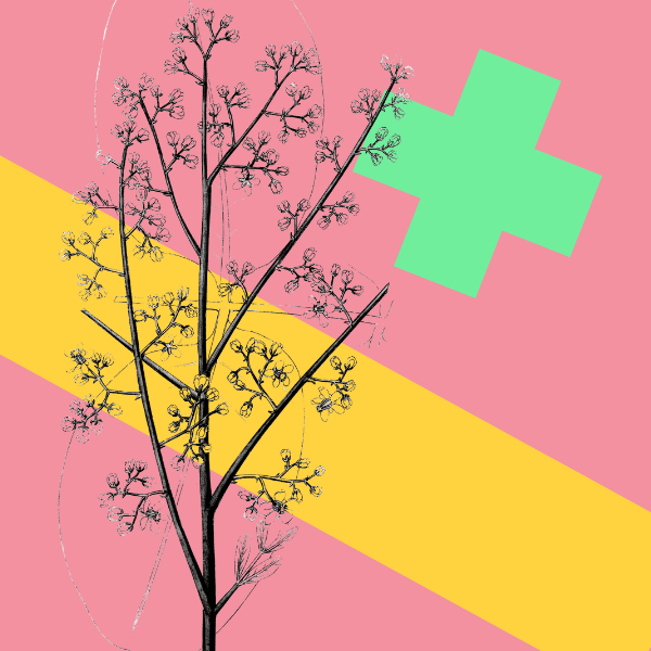 Enhancing Your Creative Environment