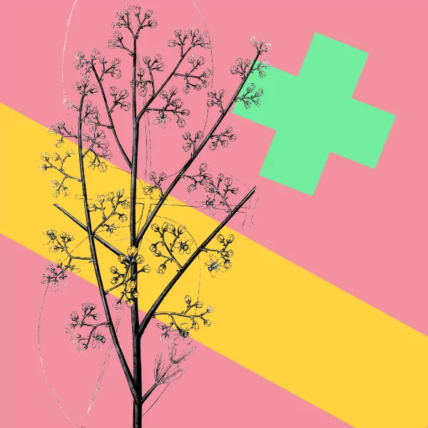 Enhancing Your Creative Environment