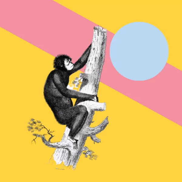 Mastering Online Networking