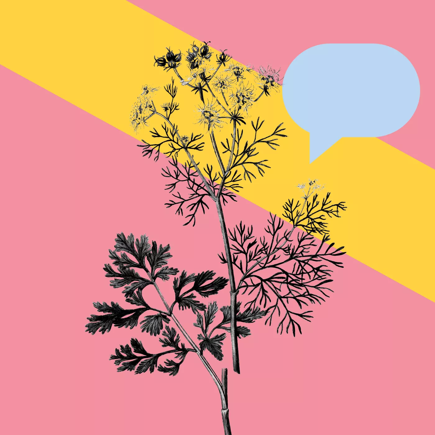 Why Do I Keep Facing Rejection from Creative Opportunities?