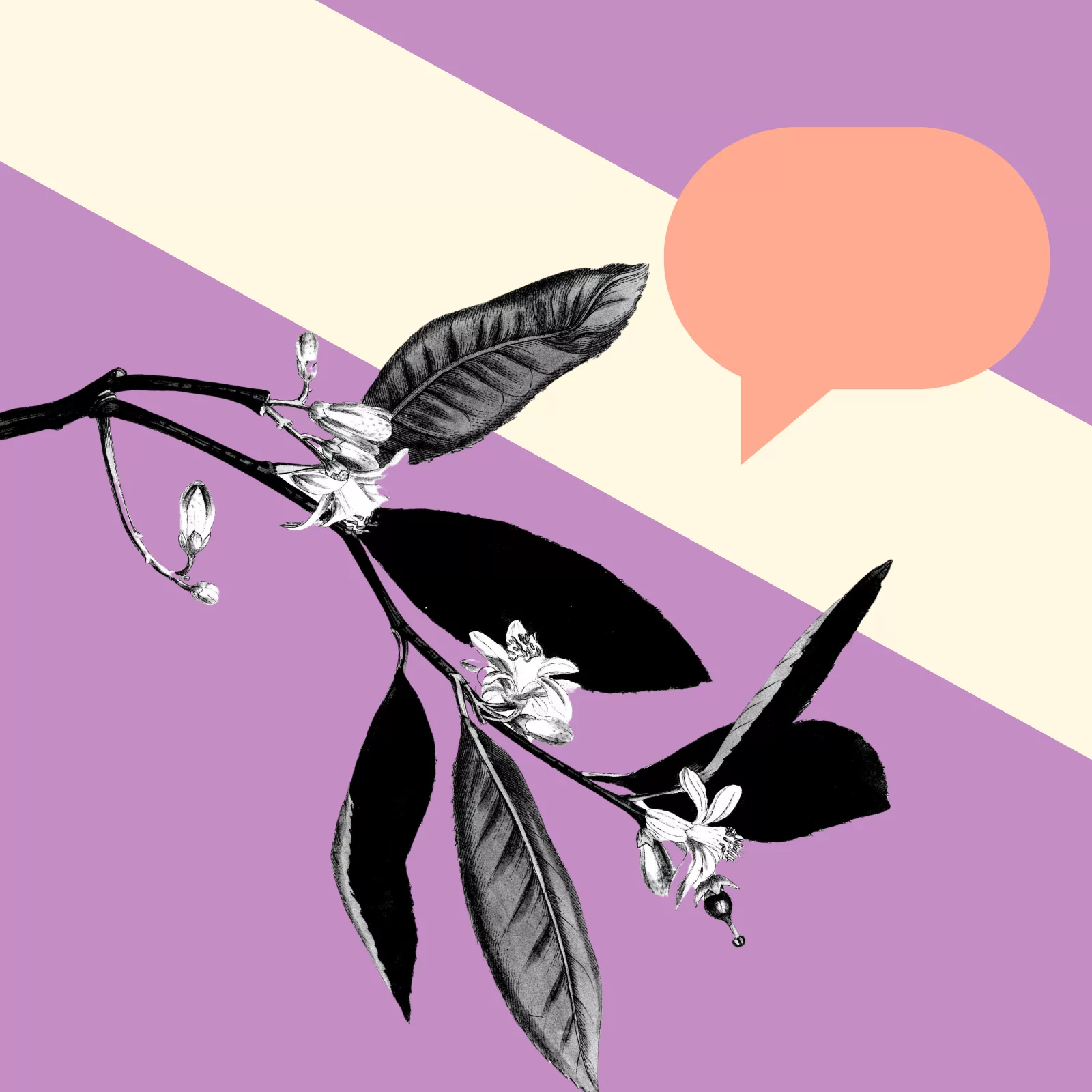 Should organisations running creative opportunities give feedback?